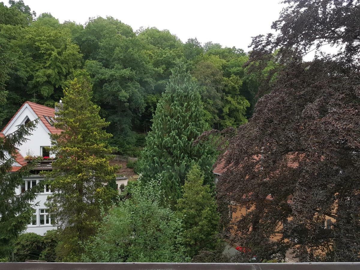 Hotel - Restaurant Sophienaue Eisenach Dış mekan fotoğraf